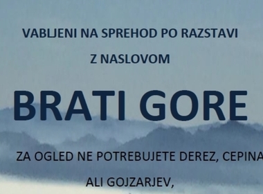 Simbolična fotografija za članek z naslovom: BRATI GORE