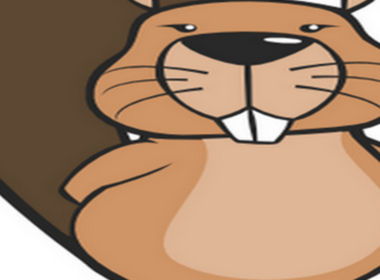 Simbolična fotografija za članek z naslovom: Državno tekmovanje Bober