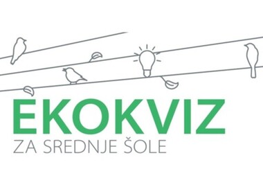 Simbolična fotografija za članek z naslovom: EKOKVIZ