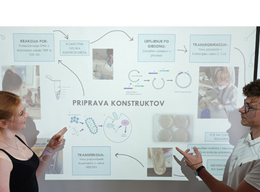 Simbolična fotografija za članek z naslovom: Ana in Jakob na državno tekmovanje Mladih raziskovalcev 