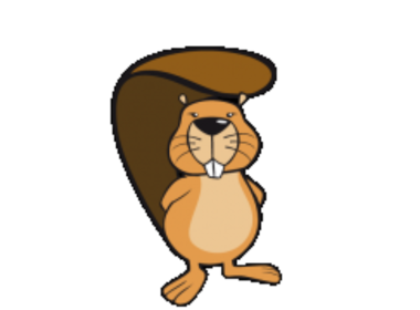 Simbolična fotografija za članek z naslovom: Uspešna sezona Bobra