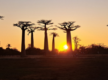 Simbolična fotografija za članek z naslovom: Rezultati šolskega tekmovanja iz znanja geografije