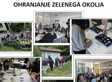 Simbolična fotografija za članek z naslovom: Ekošola že skoraj 20 let