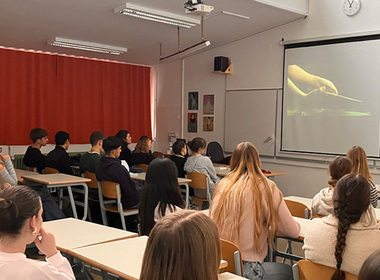 Simbolična naslovna fotografija za novico z naslovom: Ko sociologi in psihologi gledajo film