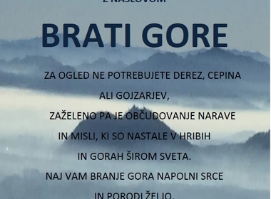 3633_plakat.jpg