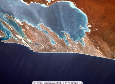 3691_carrarang-zahodna-avstralija-ursa-zevnik-4-a.jpg