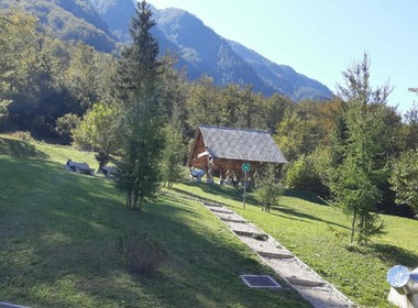 DSD jezikovni tabor 2021
