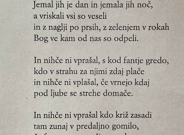 Naključna fotografija iz galerije Na rojstni dan našega rojaka