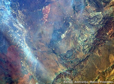 5707_nanga-avstralija-manca-pristavec-1-a.jpg