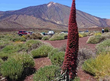 Naključna fotografija iz galerije Praksa na Tenerifih, Erasmus+