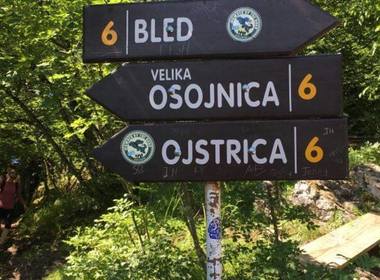 Simbolična fotografija za članek z naslovom: Zaključni izlet