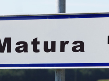 Simbolična fotografija za članek z naslovom: Podelitev spričeval splošne mature 2016