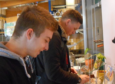 Simbolična fotografija za članek z naslovom: STROKOVNA EKSKURZIJA V AVSTRIJO