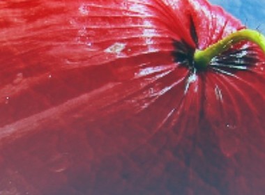 Simbolična fotografija za članek z naslovom: Vabilo dijakov 4. F in 4. G