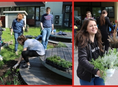 Simbolična fotografija za članek z naslovom: Urejen ekovrt s pomočjo donatorjev