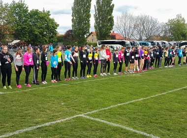 Simbolična fotografija za članek z naslovom: Kros