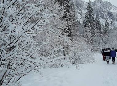 Simbolična fotografija za članek z naslovom: PROJEKTNI DNEVI PLANICA, 9. IN 10.12 2017 (4.F IN 4.G)