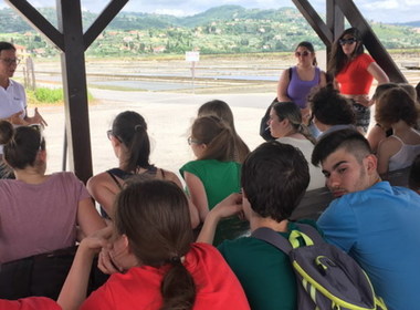 Simbolična fotografija za članek z naslovom: Primorska – Skrivnostna podzemlja in blišč Jadranske obale