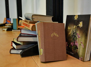 Naključna fotografija iz galerije Živjo, mala, a bi malo zaplesala?