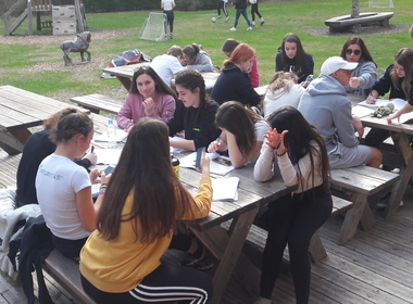 Simbolična fotografija za članek z naslovom: PROJEKTNI DNEVI