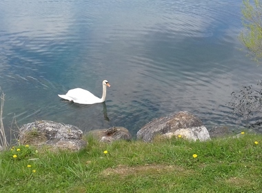 Simbolična fotografija za članek z naslovom: Kros